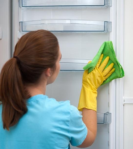 Appliance Repair Fisher & Paykel
