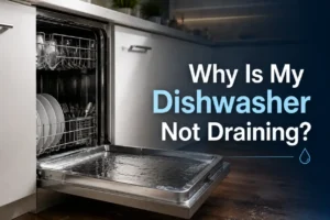 Dishwasher Not Draining