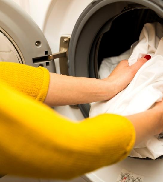 Fisher & Paykel Appliance Repair