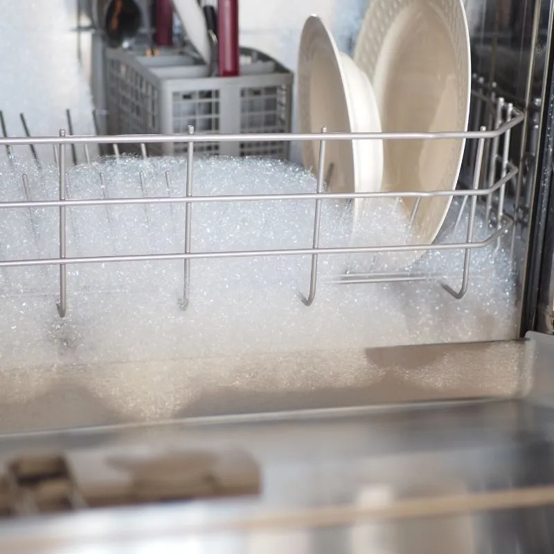 Dishwasher Overflowing