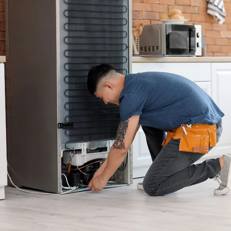 Fridge fan is not working properly