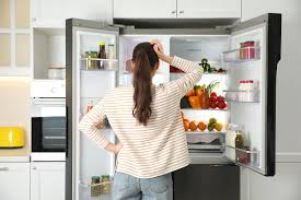 Common Refrigerator Noises