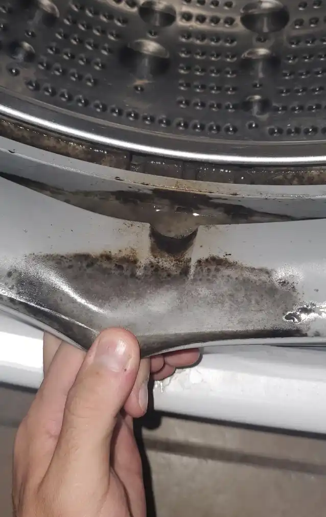 Mold in Your Washer