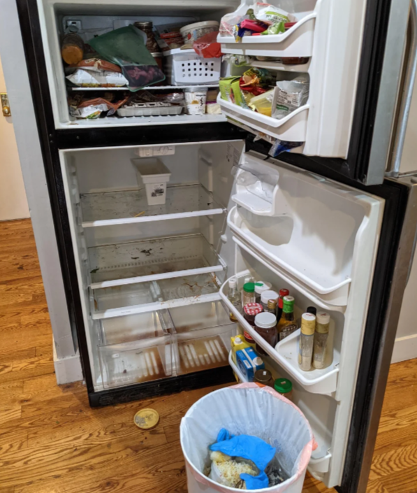 Fridge Dead