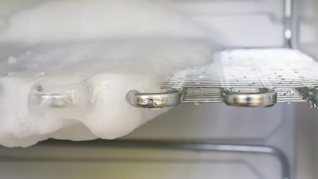 Fridge Not Defrosting