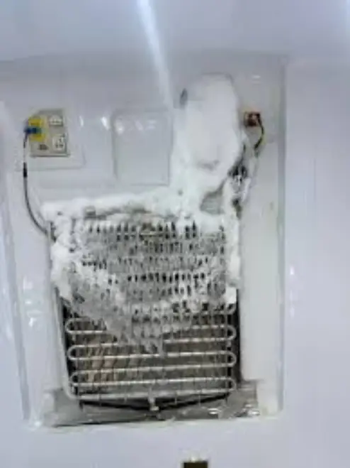 Fridge Not Defrosting
