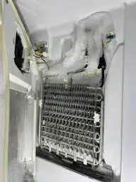 Fridge Not Defrosting