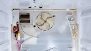 Fridge Making a Loud Noise