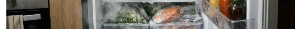 fridge freezing food