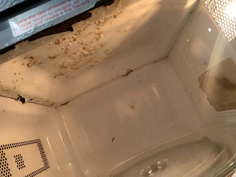 Rust Inside a Microwave